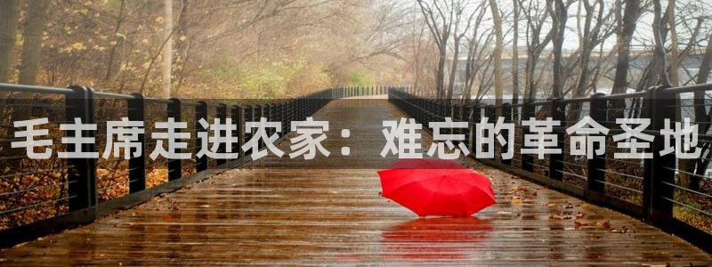 天辰娱乐白屏