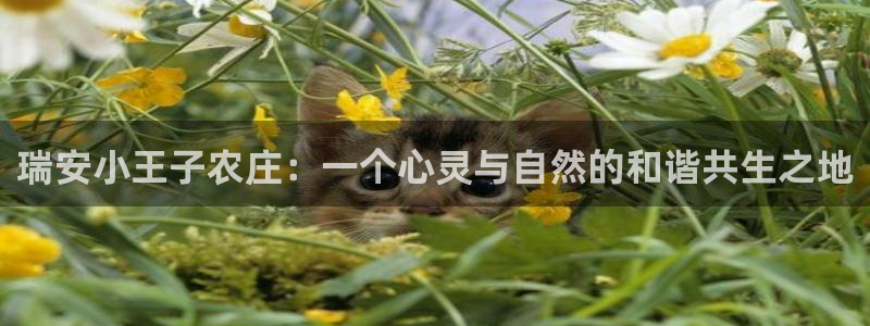 天辰娱乐 天辰平台