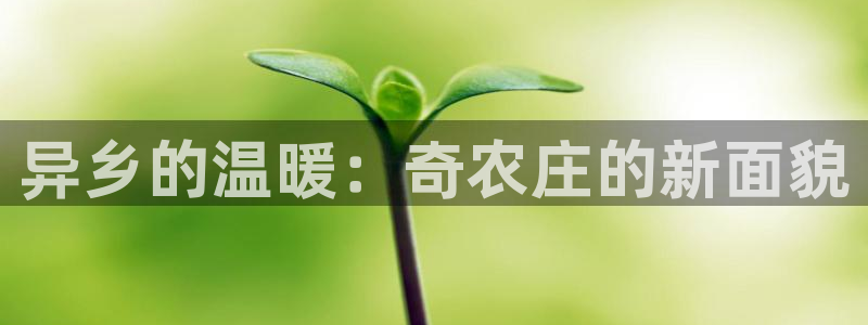 天辰宝宝娱乐