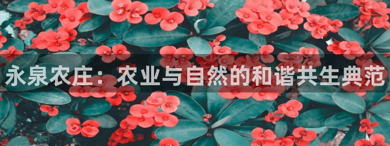 天辰娱乐44616