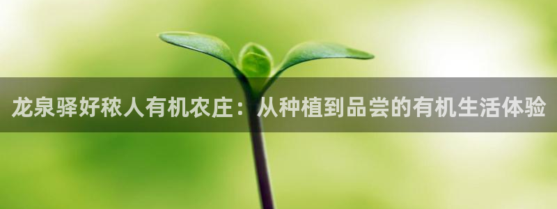 天辰说娱乐