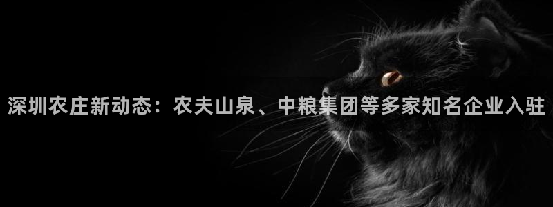 天辰娱乐平台靠谱么