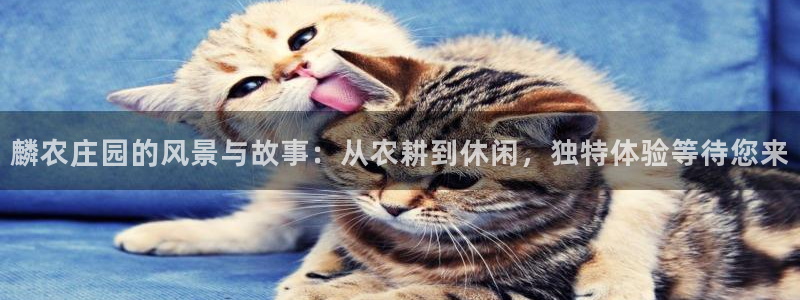 天辰娱乐首页