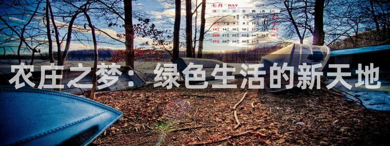天辰娱乐平台地址在哪里