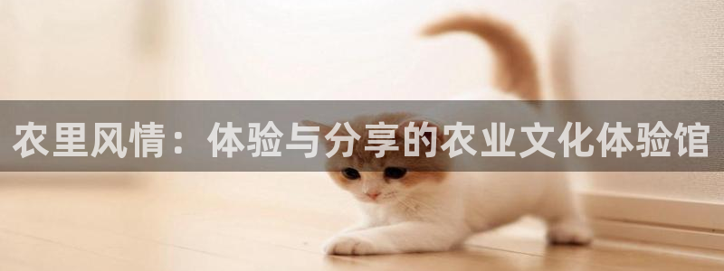 天辰娱乐游戏平台怎么样