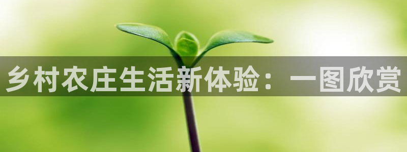 天辰娱乐53551