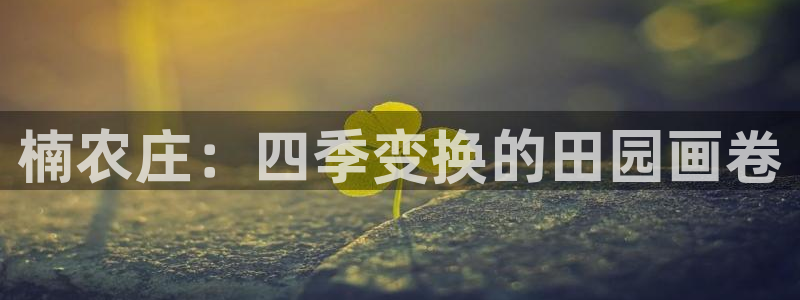 天辰娱乐官方登录下载