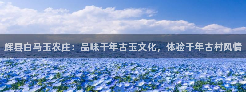 天辰娱乐APP下载