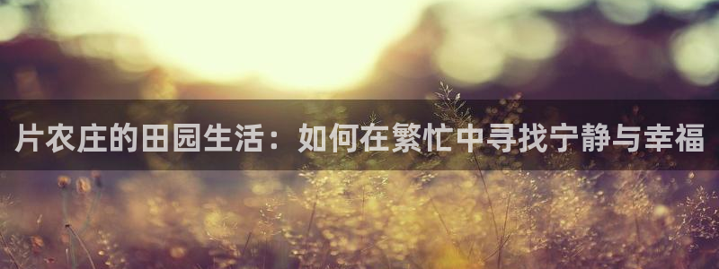 天辰娱乐总管年薪