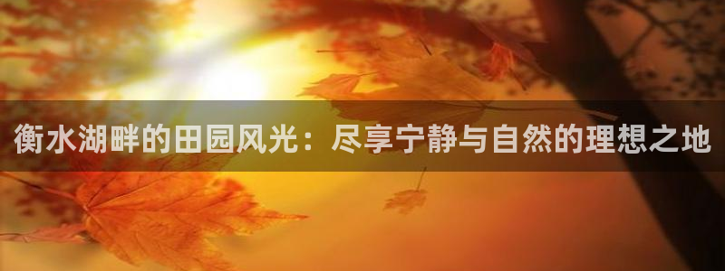 天辰娱乐卡
