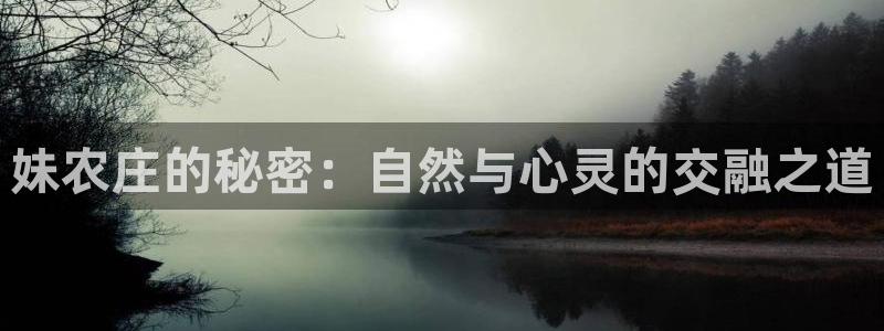 天辰娱乐链接