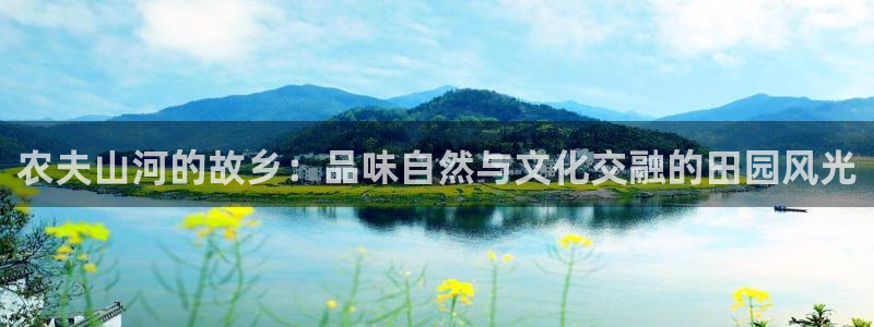 天辰娱乐上级