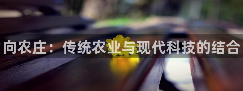 天辰娱乐传媒