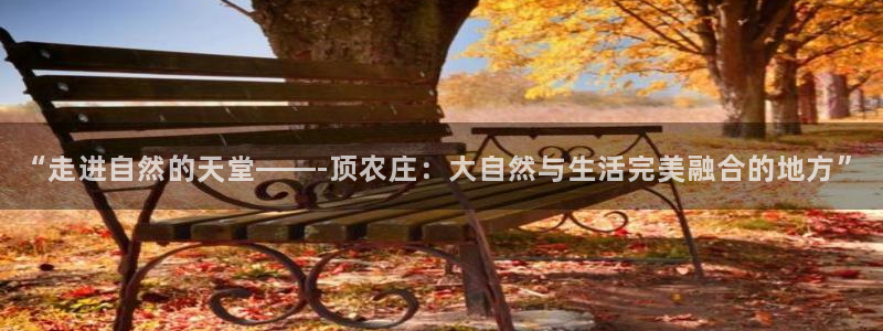 南充天辰娱乐