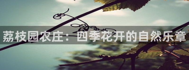 天辰娱乐信誉