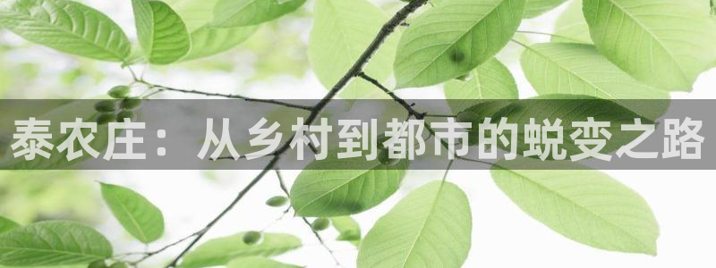 天辰娱乐 849852
