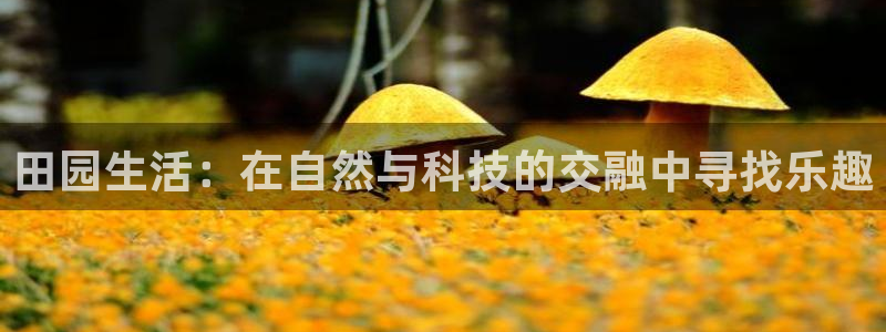 天富娱乐天辰娱乐