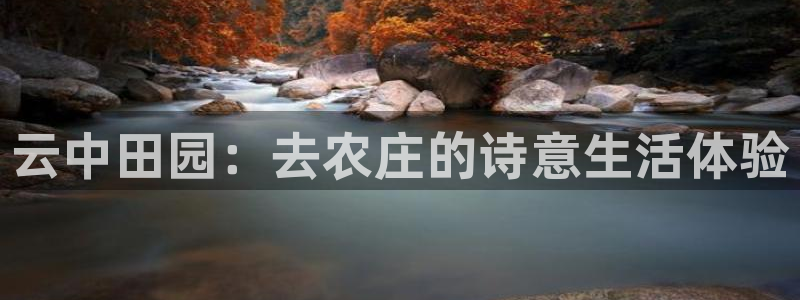 天辰娱乐网