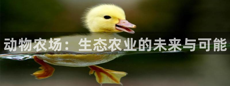 天辰娱乐新闻