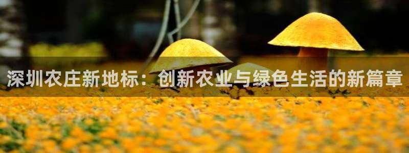 天辰娱乐tff