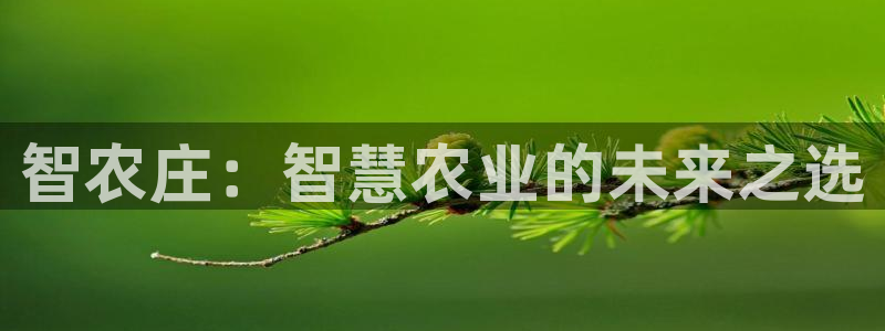 天辰娱乐分红