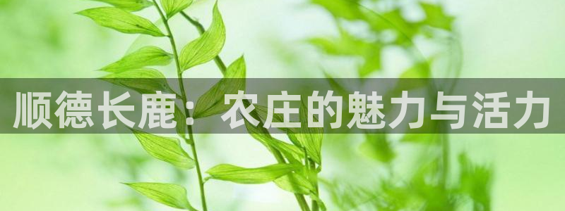 天辰娱乐咋样