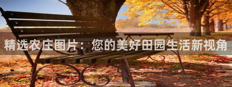 天辰娱乐平台地址