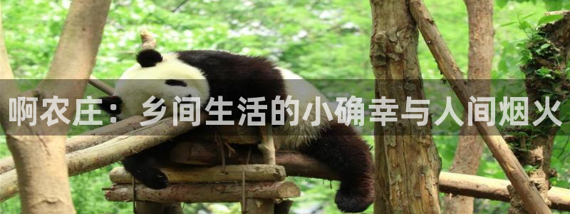 天辰天辰娱乐
