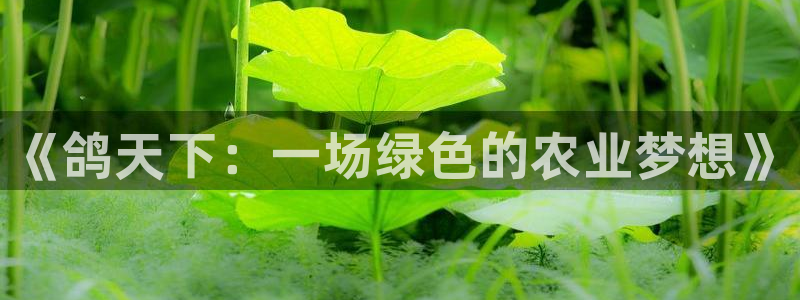 天辰娱乐海洋