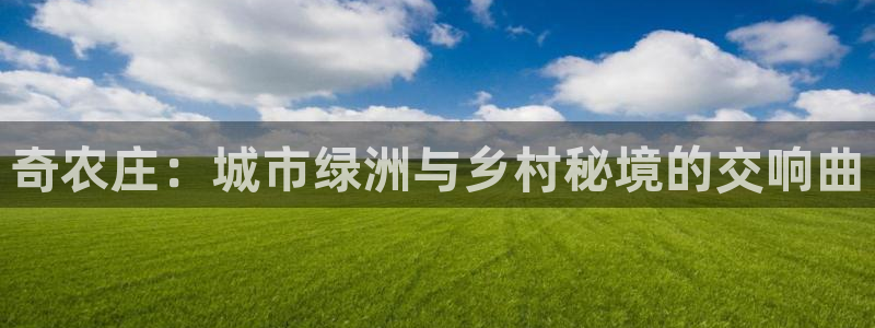 天辰辰娱乐代理