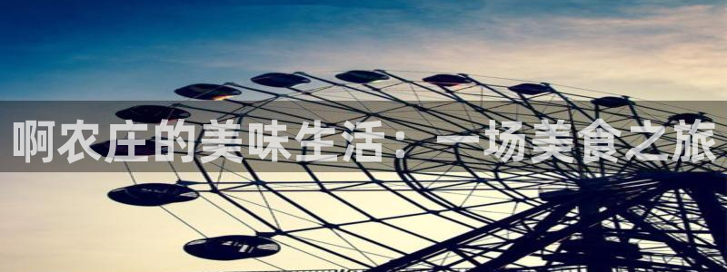 天辰娱乐待遇