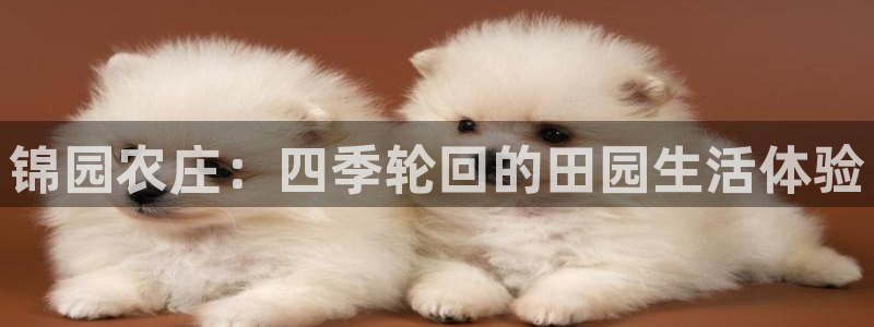 天辰娱乐平台地址在哪里