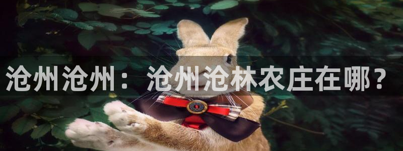 天辰娱乐主页