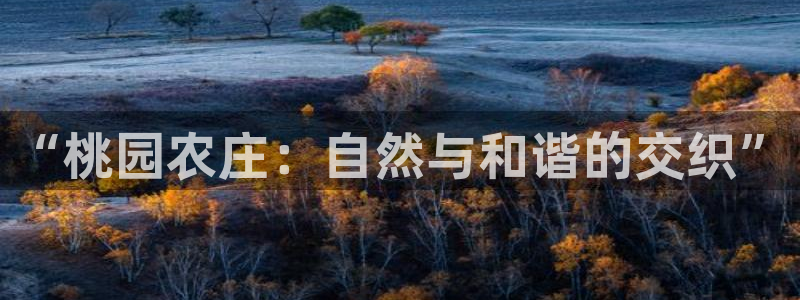 天辰娱乐游客