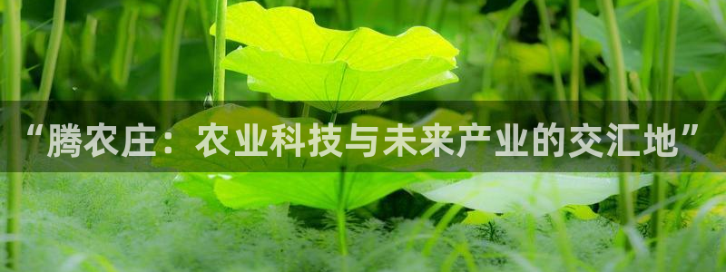 桂林天辰娱乐