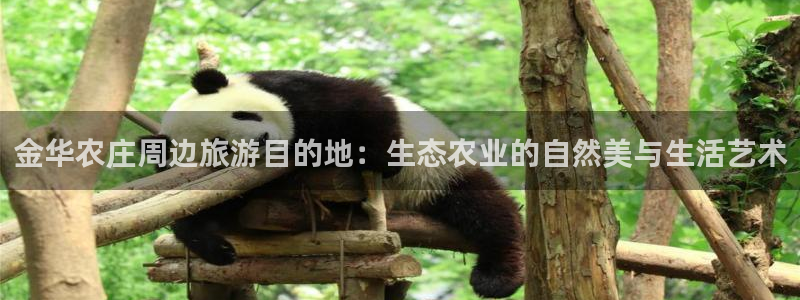 天辰辰娱乐代理