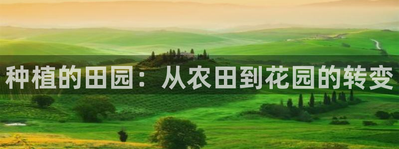 哈尔滨天辰娱乐