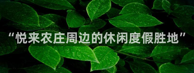 天辰团队贝高娱乐