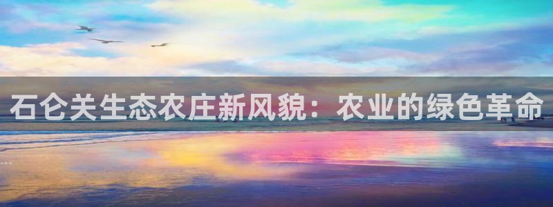 天辰娱乐APP下载