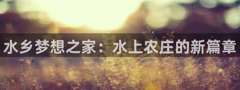 天辰辰娱乐代理