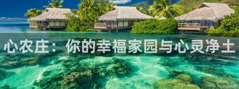 天辰娱乐十分彩