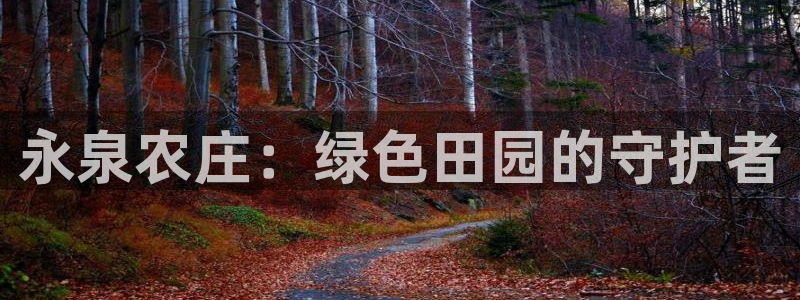 天辰娱乐官方登录入口