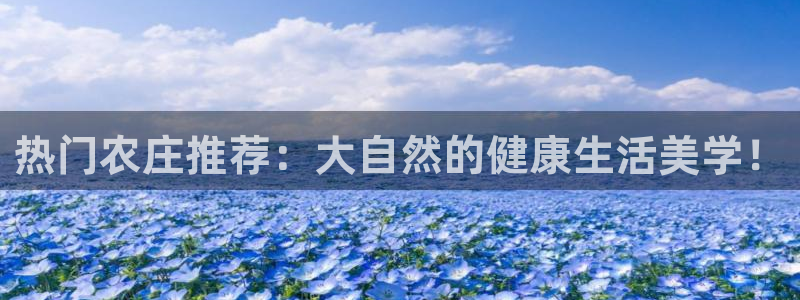 天辰娱乐网址娱乐游戏