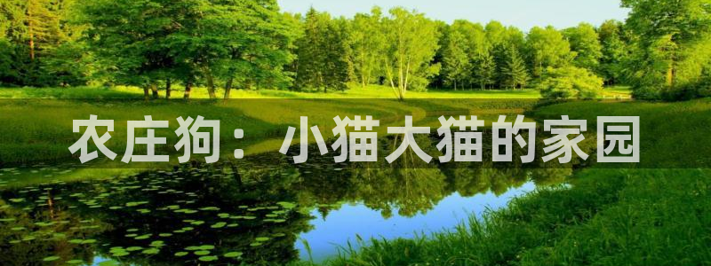 天辰娱乐7天22650